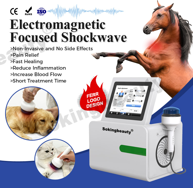 veterinary-shockwave-machine-20260512
