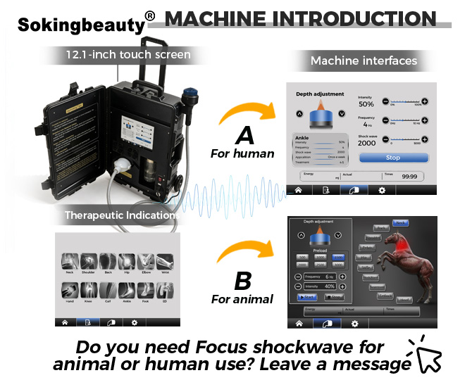 new portable shock wave device