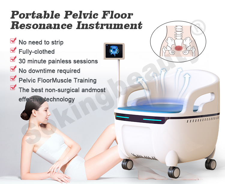 repair pelvic floor muscles chair03
