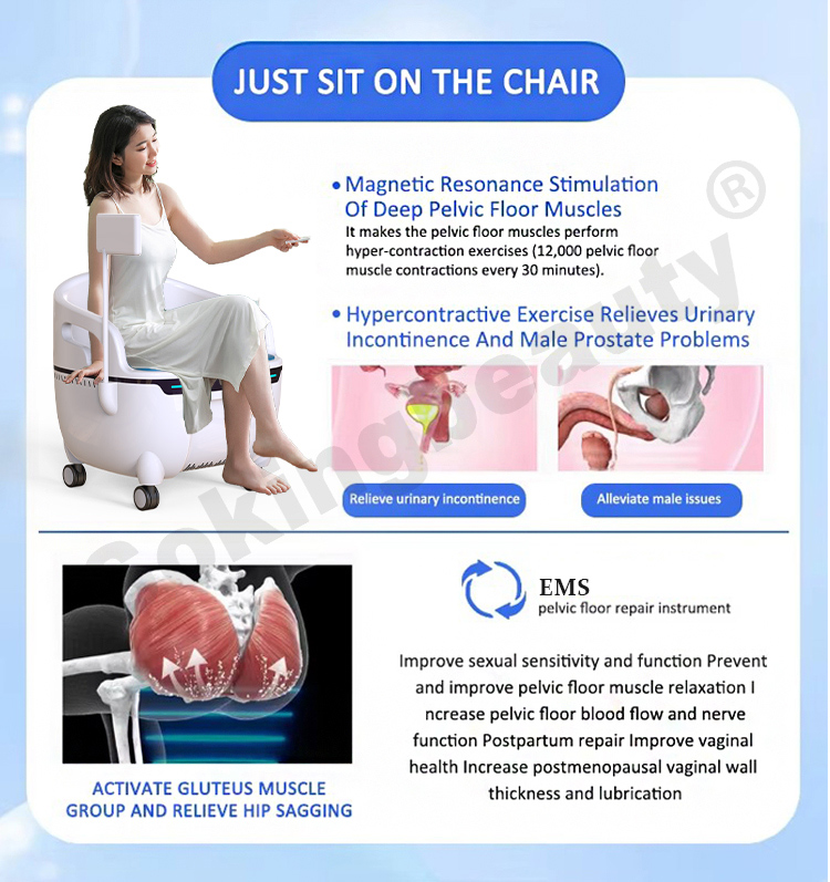 repair pelvic floor muscles chair04
