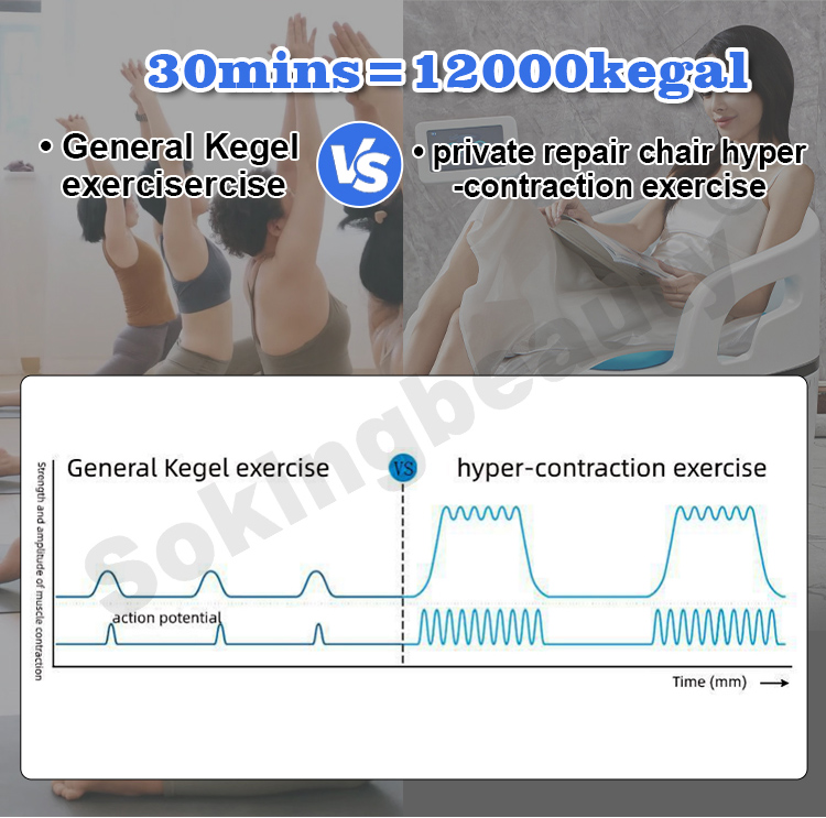 repair pelvic floor muscles chair06