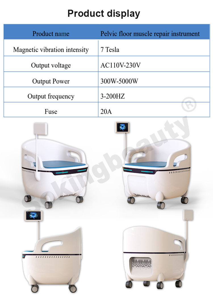 repair pelvic floor muscles chair08