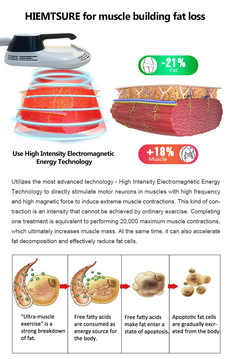 10d laser lipo ems muscle building machine03