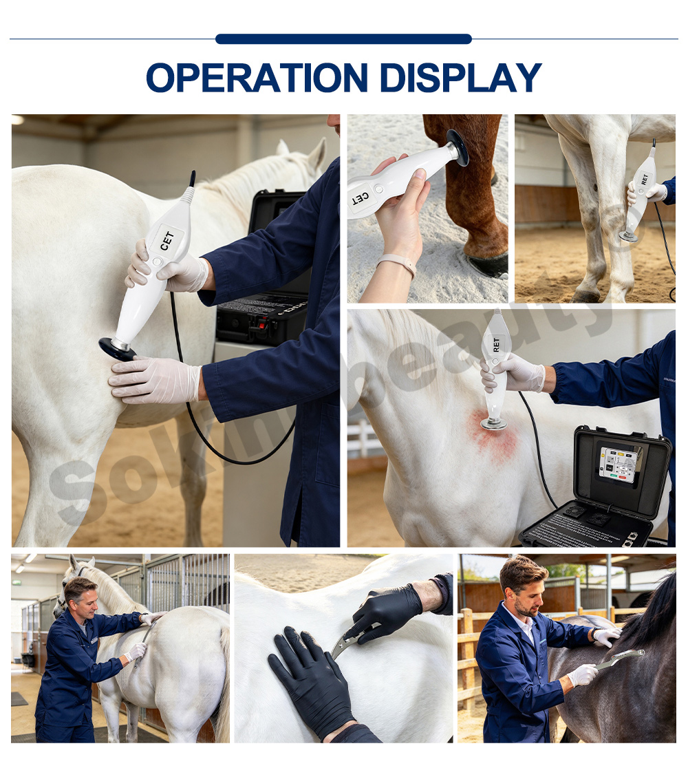 448khz cet ret equine suitcase tecar equipment