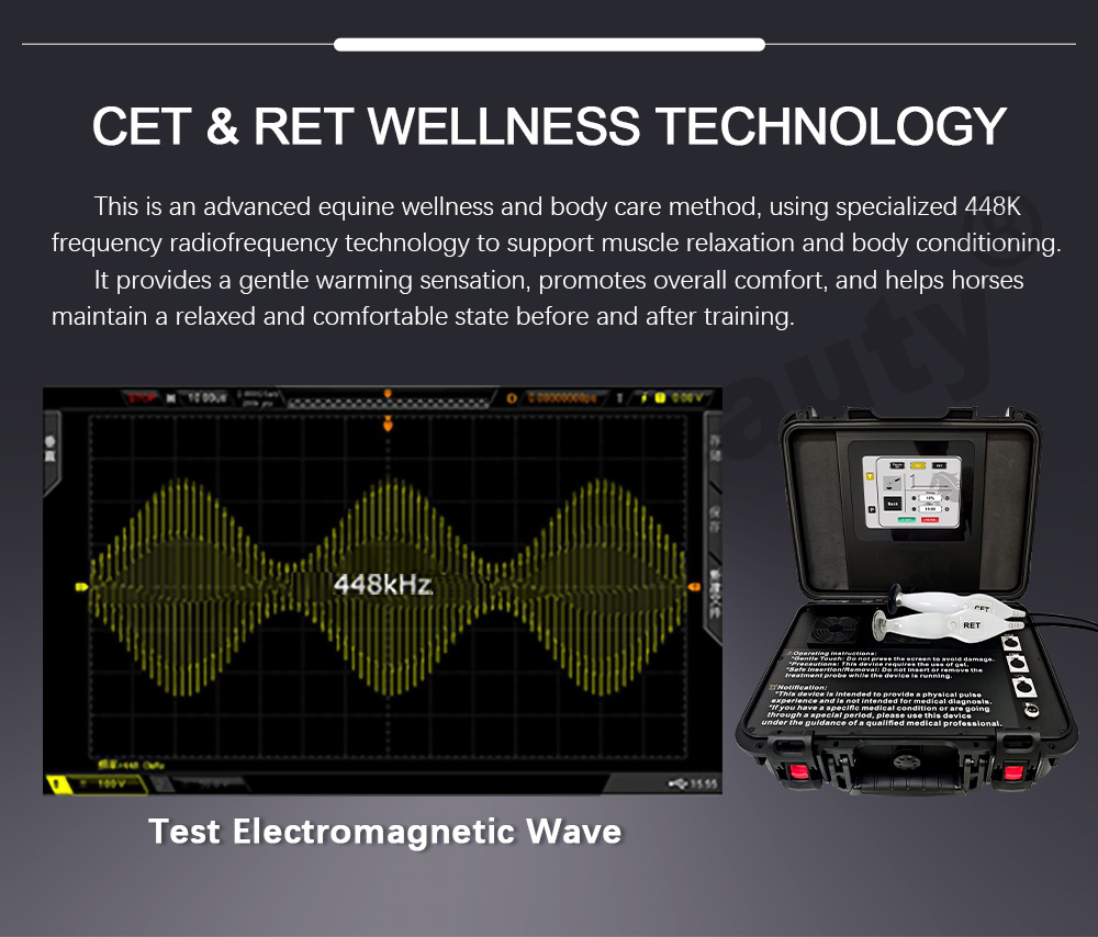 cet ret equine tecar device