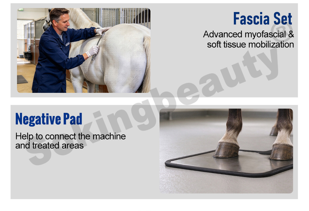 oem equine tecar device