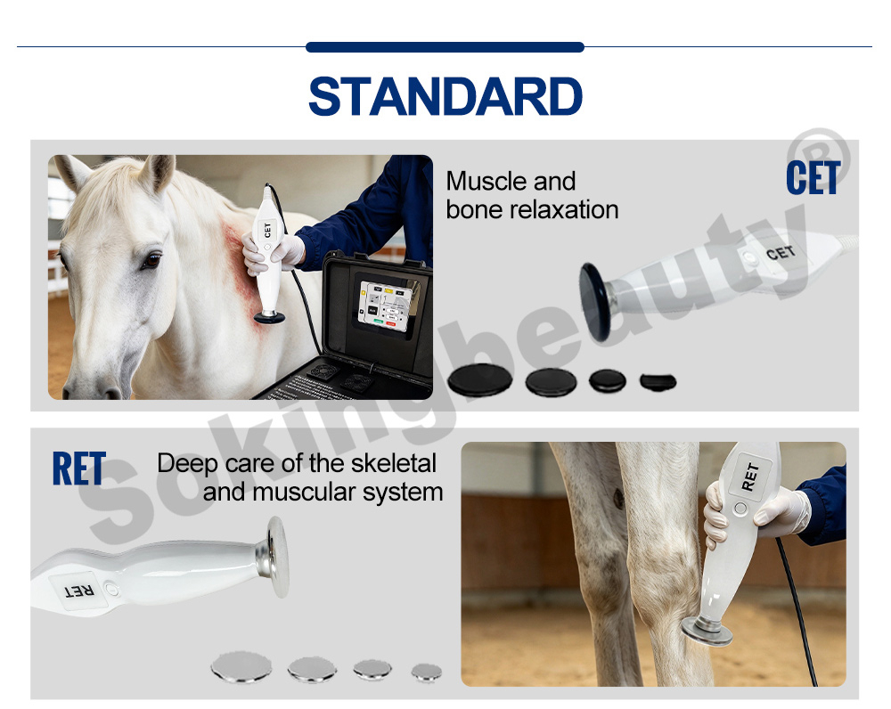 oem equine tecar machine