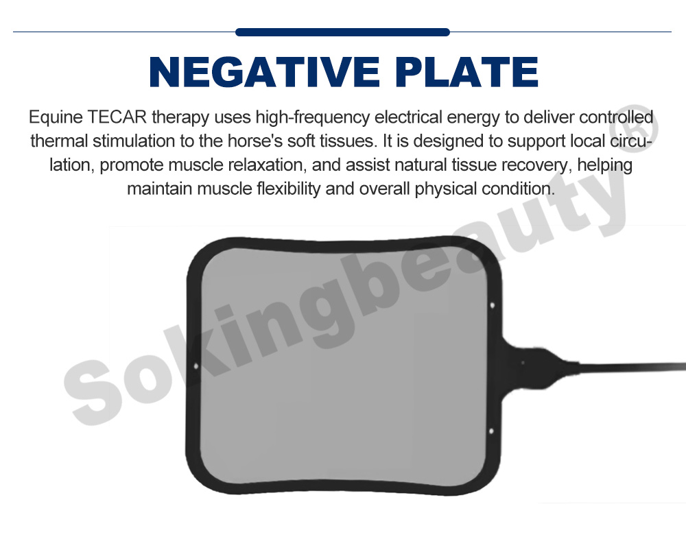 portable suitcase horse tecar equipment
