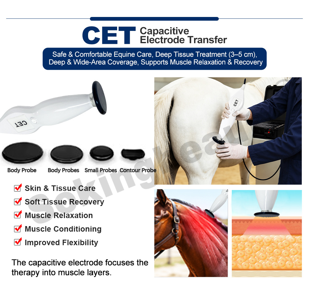 portable suitcase horse tecar machine