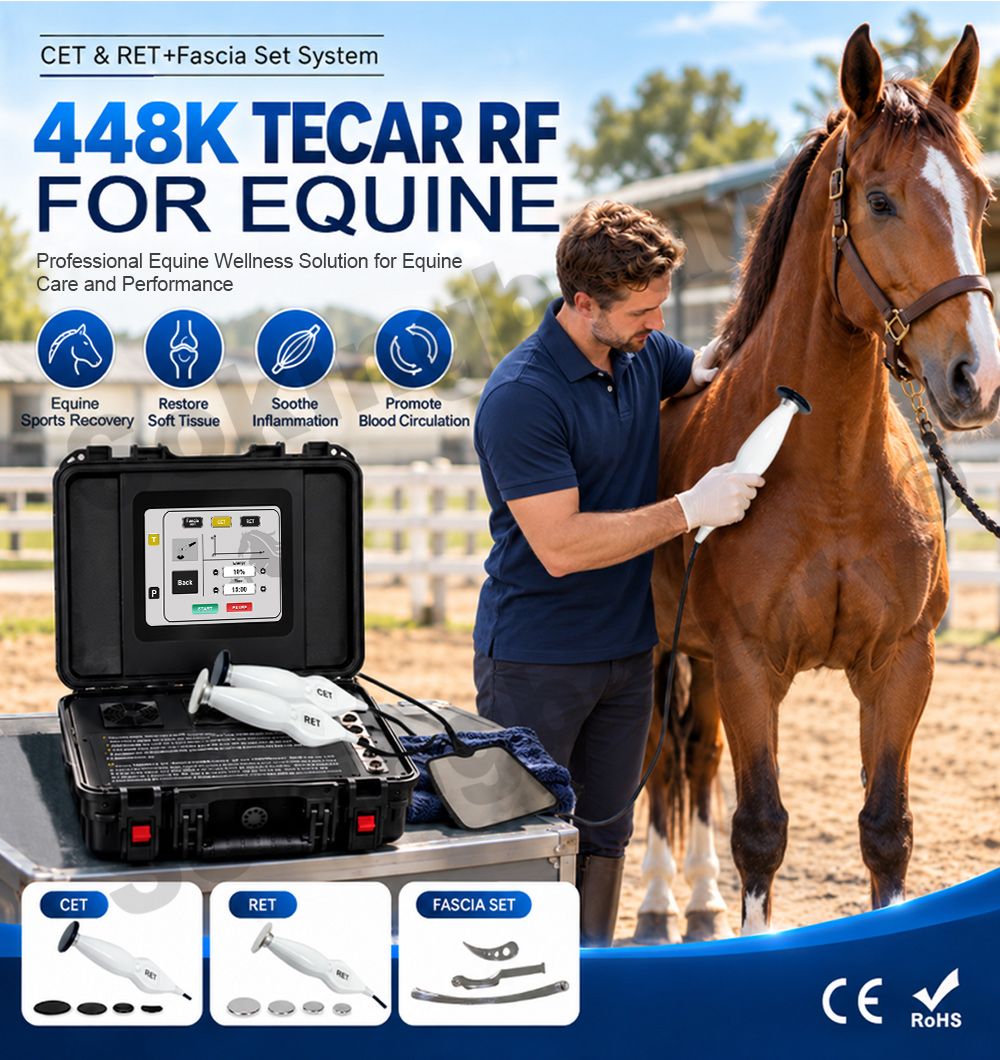 suitcase tecar machine for horse