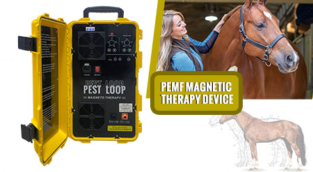 pain relief pemf machine