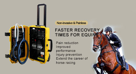 pemf therapy for horses