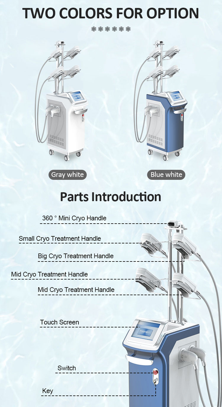 5 handles 360 cryolipolysis fat freezing machine