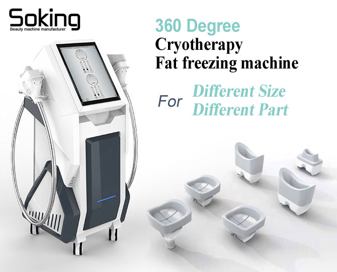 5 handles fat freezing machine