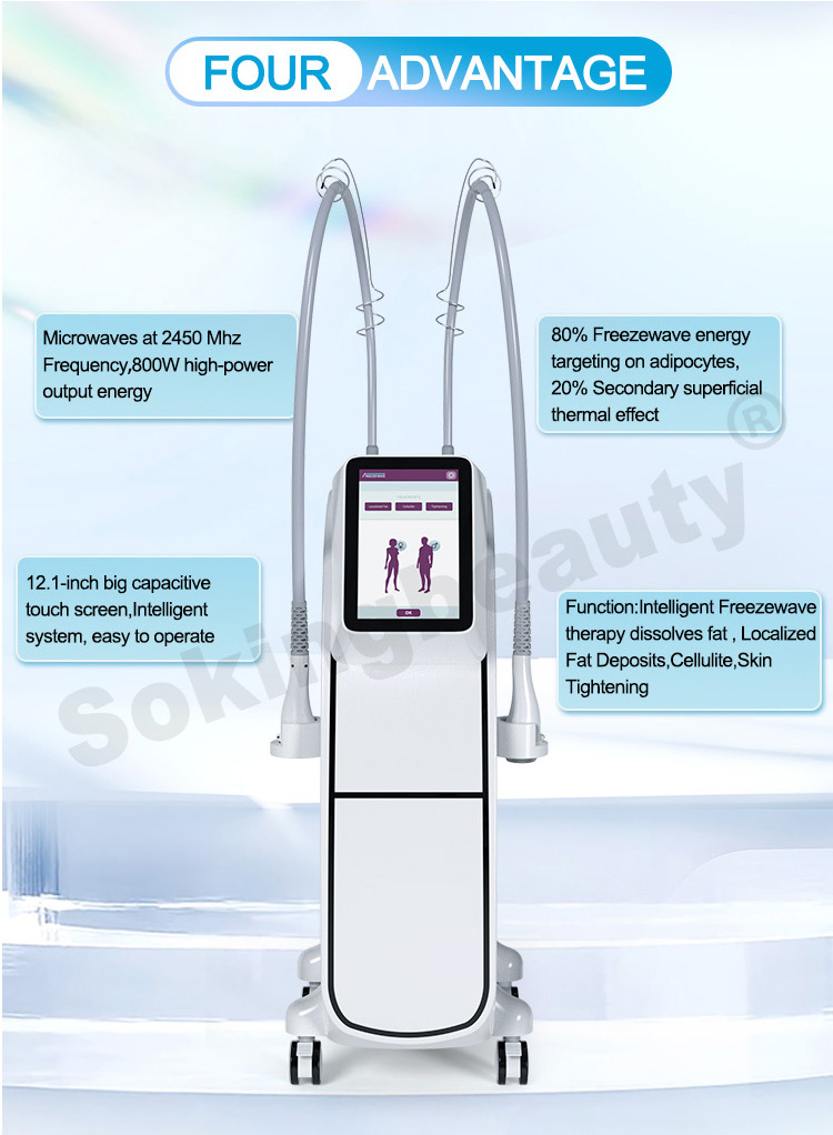 Cryo Fat Reduction Machine16