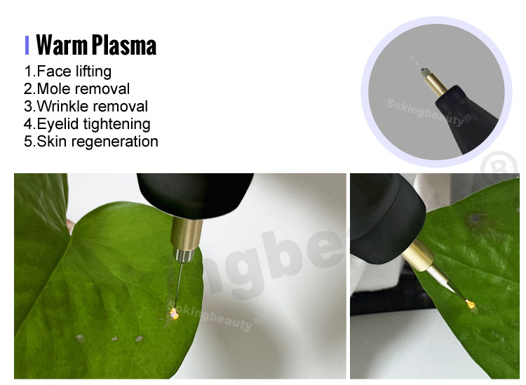 cold plasma machine cost