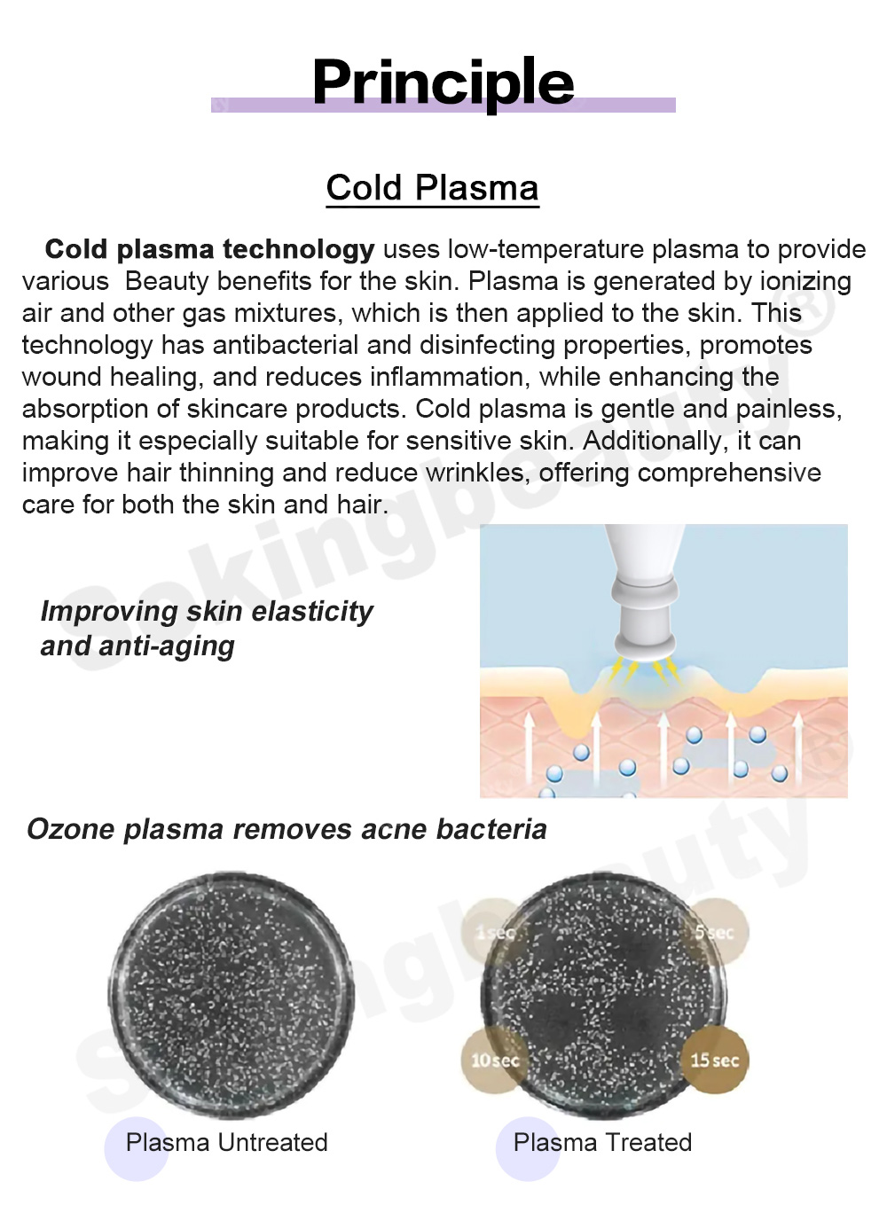 10 in 1 Cold Warm Plasma Skin Beauty Equipment.jpg