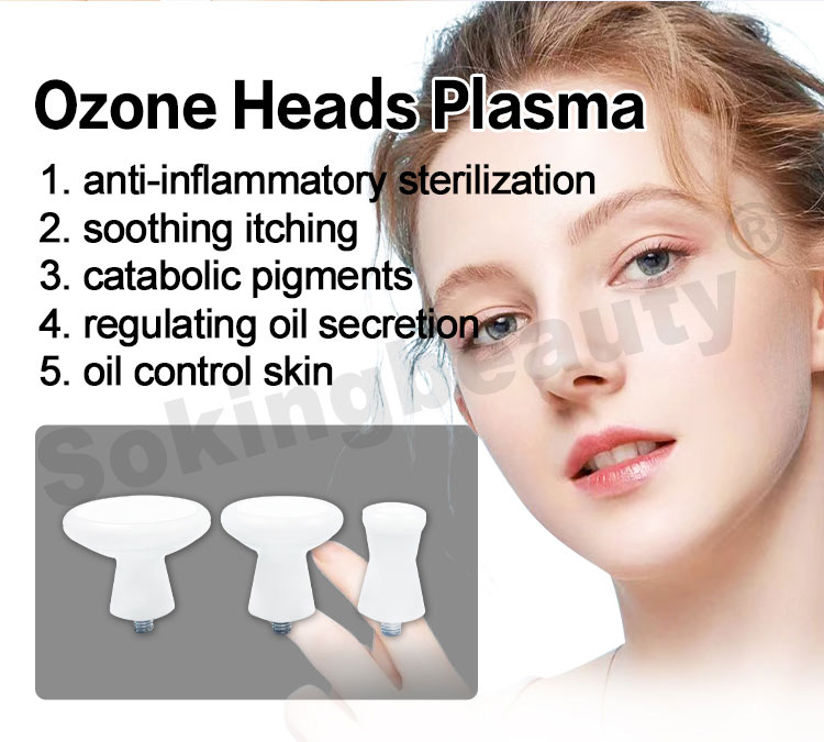 plasma ozone device